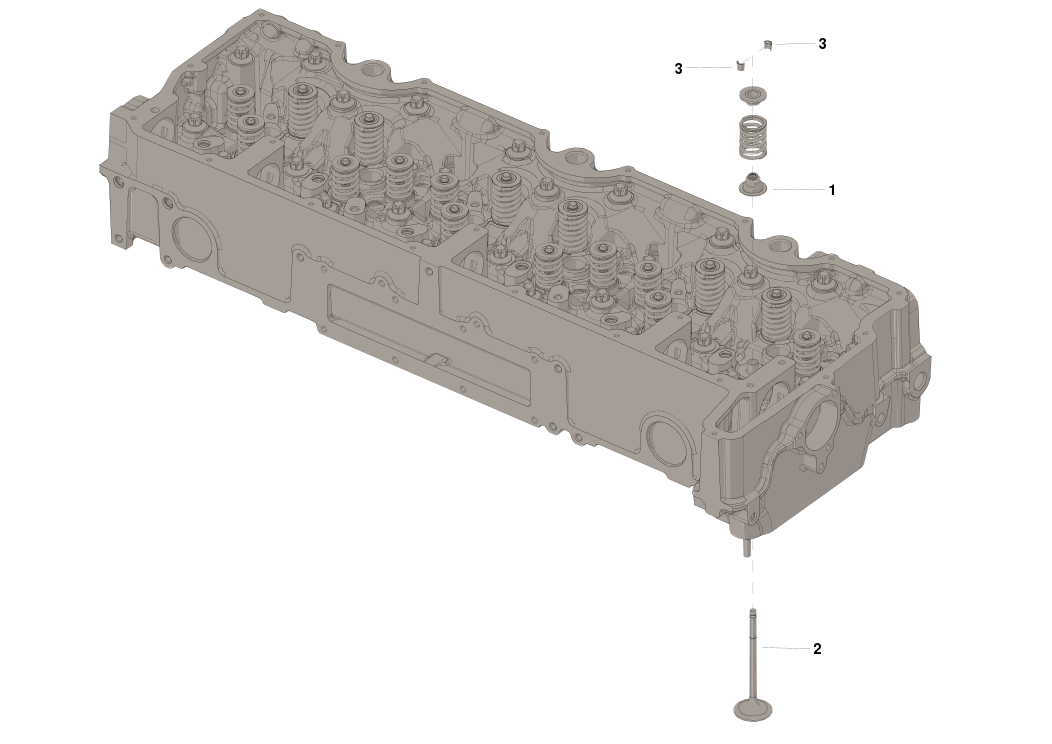 4309572F KIT,INTAKE VALVE