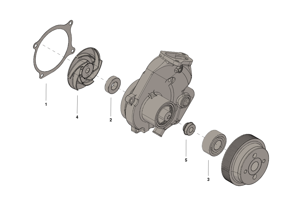 BM91981 KIT,WATER PUMP REPAIR