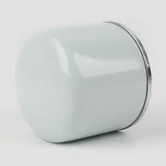 Fuel Filter, Spin On 1017201682