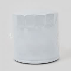Fuel Filter, Spin On 35-802893Q01