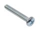 096-2591: SCREW