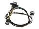 100-4721: Harness Assembly