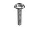 198-9705: SCREW-TRUSS