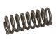 1H-9578: SPRING-PISTON