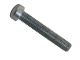 1L-6312: SCREW