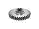 249-0213: GEAR