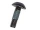 270-9442: 20mm Long Paint Chasing Truss Head Screw