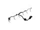 418-2031: Harness Assembly