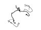 419-8895: Harness Assembly