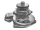 484-0483: Water Pump