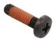 520-8291: Machine Screw