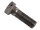 538-1450: CAP-SCREW
